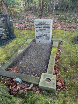 Graf van Martinus Johannes Tjepkema