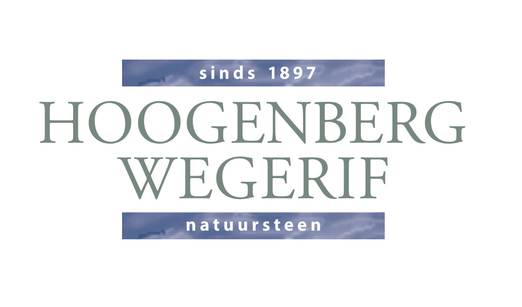 Hoogenberg Wegerif