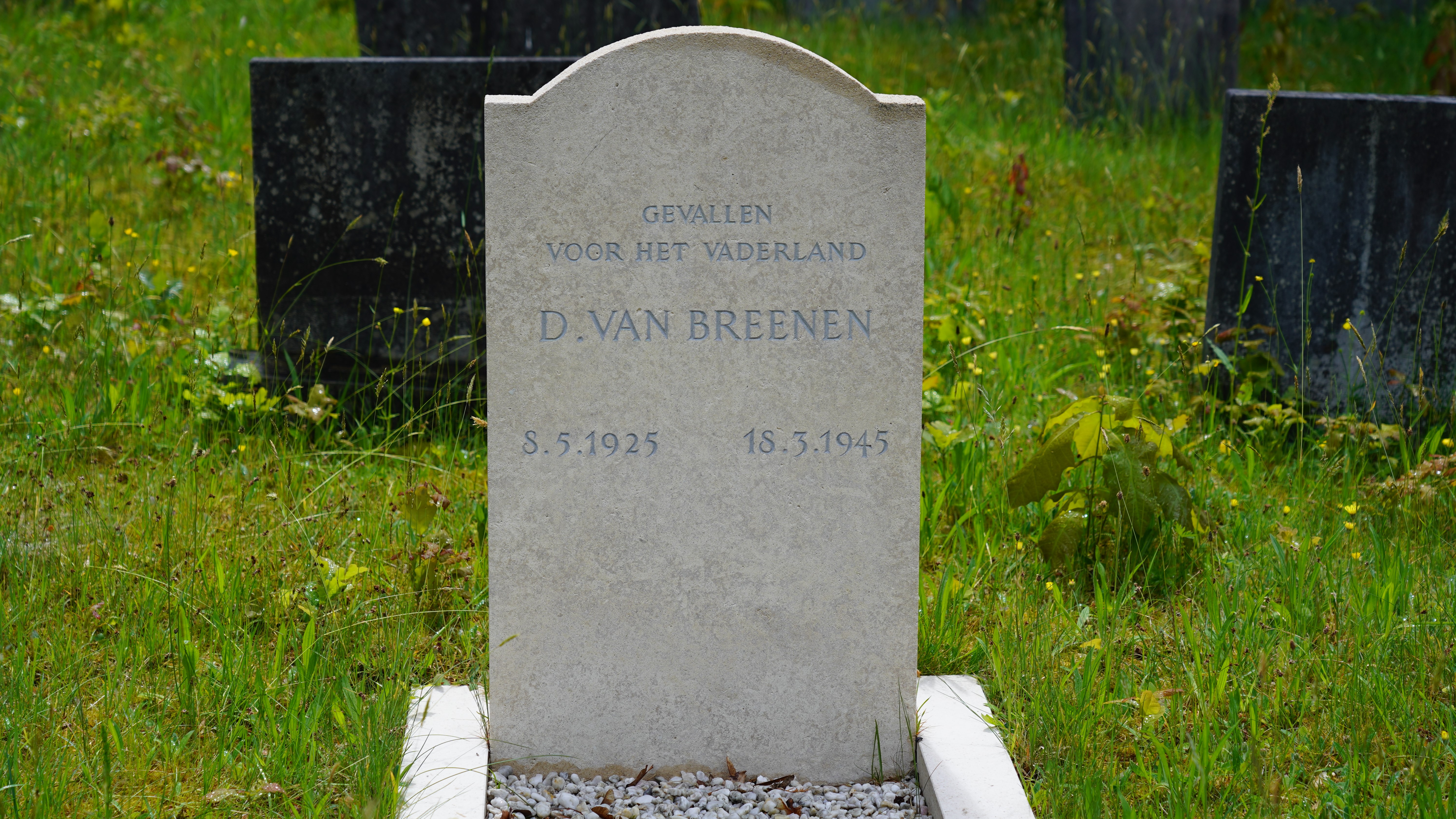 Graf van Dirk van Breenen