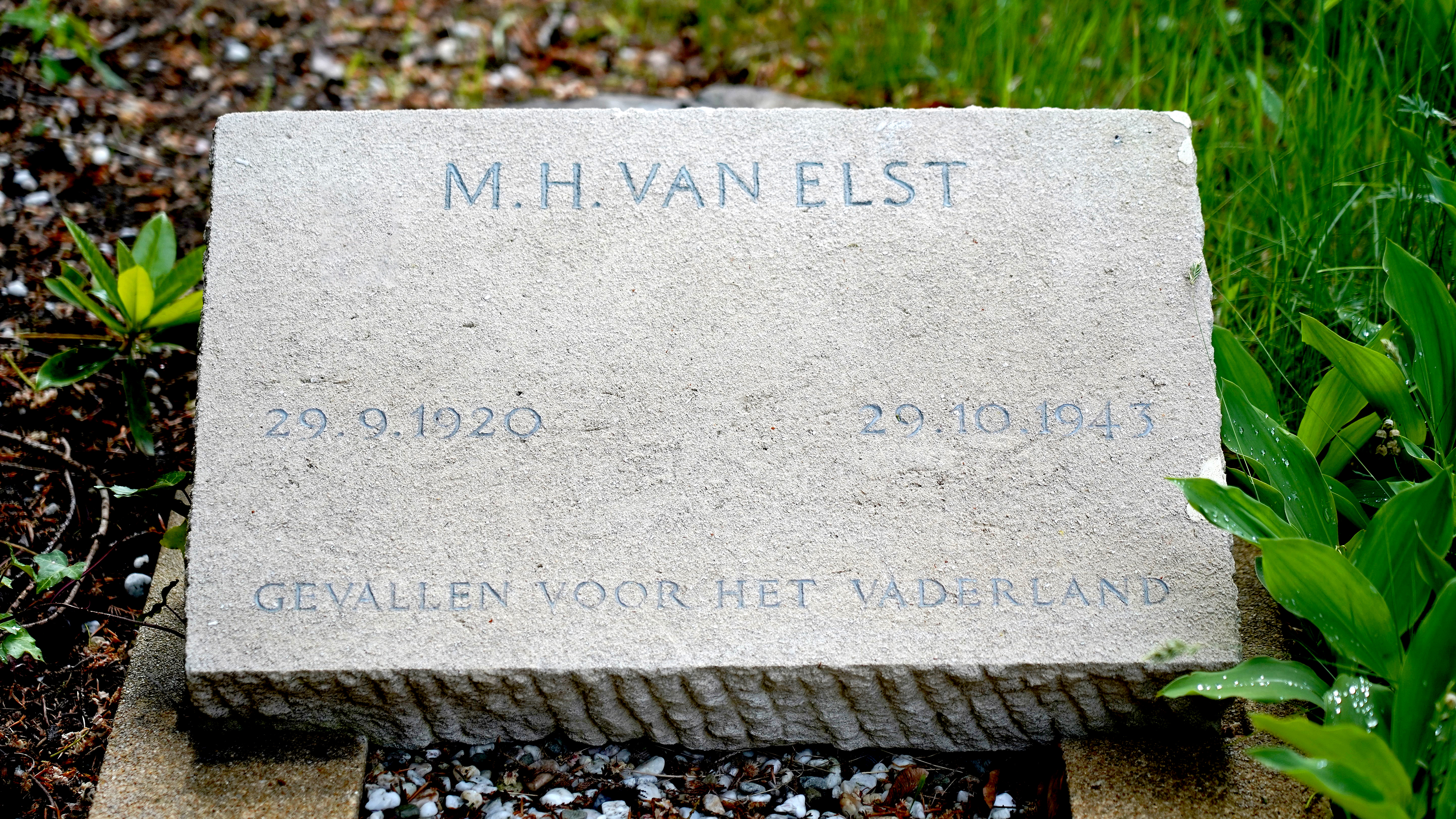 Graf van Marinus van Elst